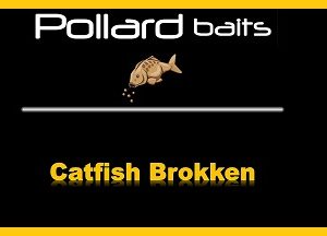 Catfish Brokken